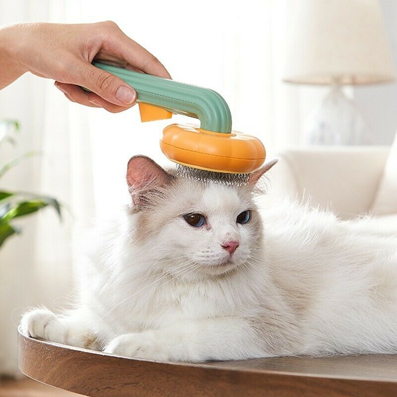 Pet Pumpkin Brush