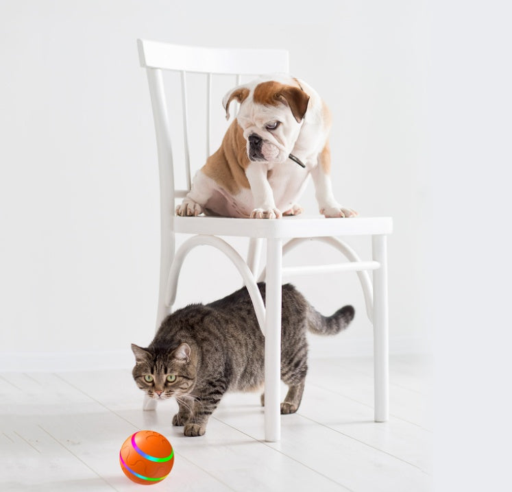 Cat Wicked Ball Toy Intelligent Ball