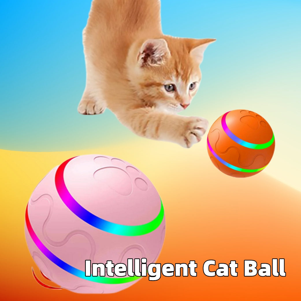 Cat Wicked Ball Toy Intelligent Ball